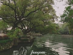 -西溪国家湿地公园