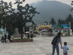 -西安秦岭野生动物园