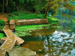 -南宁良凤江国家森林公园