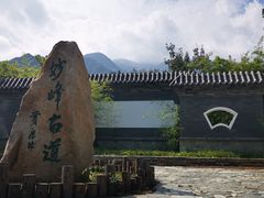 -阳台山自然风景区