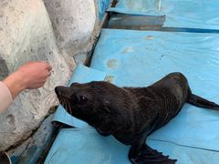 -泉州海丝野生动物世界