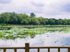 -长春市南湖公园