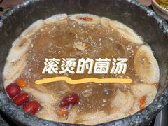 -蘑界·野生菌火锅(深业上城店)