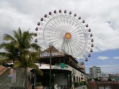 -美国村