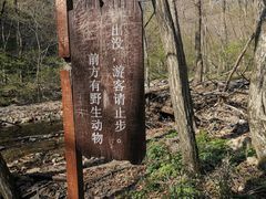 -关门山森林公园