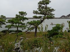 -盆景园(扬州大运河文化旅游度假区)