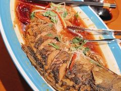 -蒙古大营(朝阳公园店)