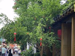 -鲤院·新中式美学·庭院餐厅(夫子庙店)