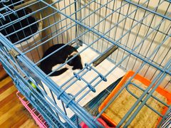 -猫的天空之城概念书店(杭州南宋御街店)