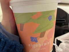 空气伯爵布列夫-代数学家algebraist(诚品店)