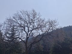 -石岛赤山风景区