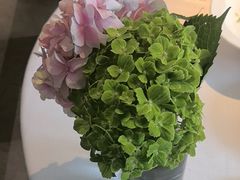 -顺峰(农展馆店)