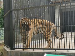 -广东茂名森林公园