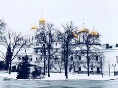 -滴血救世主教堂