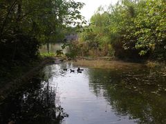 湿地公园-溱湖国家湿地公园