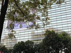 -金光华广场