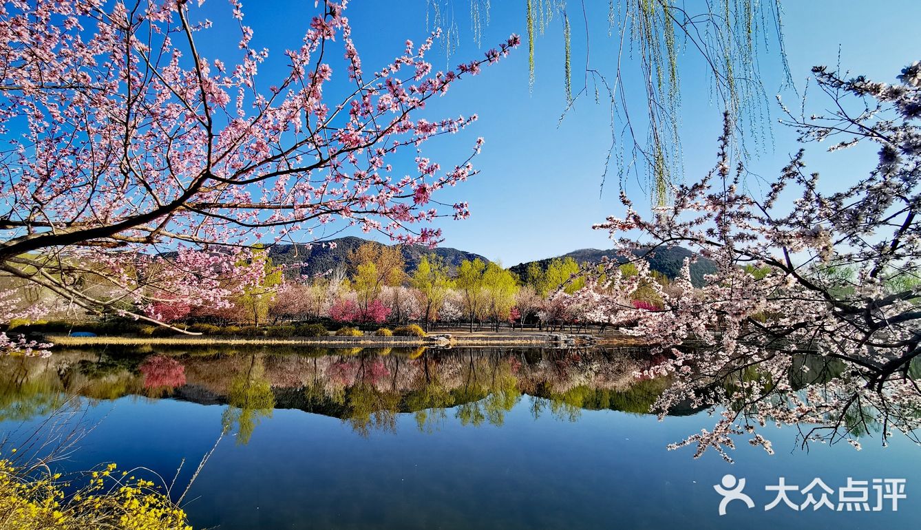 北京的春天太美了宅家兩個月第一次出門就到了植物園