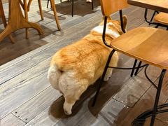 -肥朵食堂(带梦胡同店)