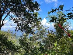 -七仙岭温泉国家森林公园