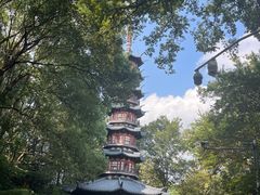 -上海佘山国家森林公园西佘山园