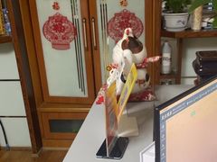 -静沐人生养生馆(佳宁娜分店)
