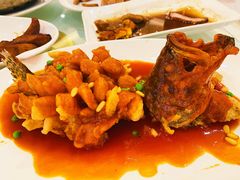 松鼠桂鱼-金时代顺风大酒店(协泰店)