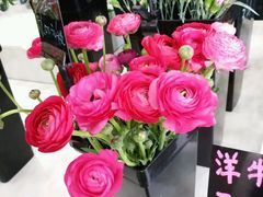 -Butchart布查德鲜花(花艺设计中心)