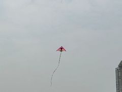 -二沙岛艺术公园