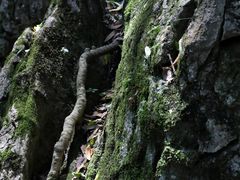-灵隐飞来峰景区