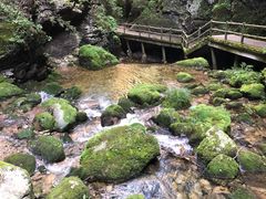-牛背梁国家森林公园