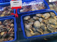水产区-必点海鲜·鲅鱼水饺(鞍山西道店)