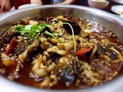 馋嘴牛蛙-乐友川味家常菜馆