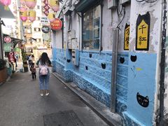 -猫咪博物馆(顶澳仔猫街店)
