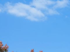 -三江森林温泉度假区