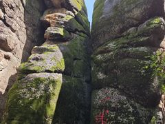 -汤旺河林海奇石景区