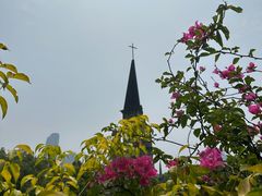 -重庆市江北嘴中央商务区中央公园