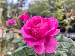 -人民公园(罗湖区)