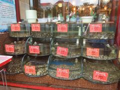 -东来菜馆•手抓海鲜家常菜•海鲜锅贴(鸽子窝店)