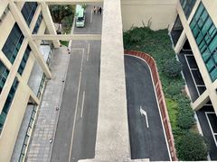 -张坝桂圆林公园
