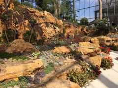 -南通洲际绿博园