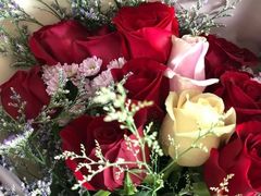-双季花艺园艺市场(浦东店)