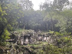 -韬光茶庵