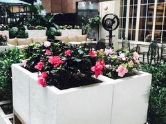 大堂-PAUL LAFAYET 法式甜品(港汇广场店)