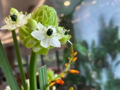 -WEGYMER健萌健身(雅颂居馆)