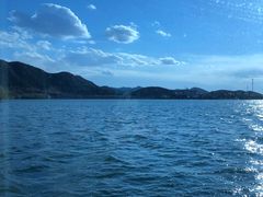 -望湖烤鱼