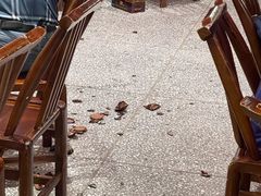 -巴人堂(女儿城店)