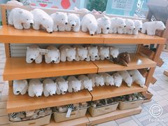 -济州岛泰迪熊博物馆