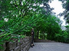 -大望京公园