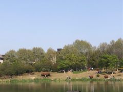 -南山风景名胜区