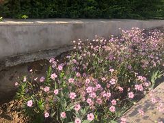 -满宝馄饨(三好店)